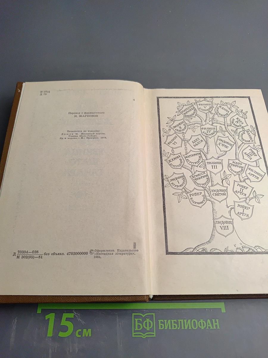 Железный король. Узница Шато-Гайара