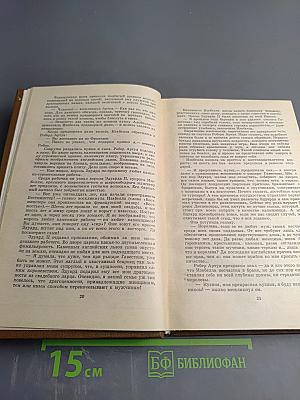 Железный король. Узница Шато-Гайара