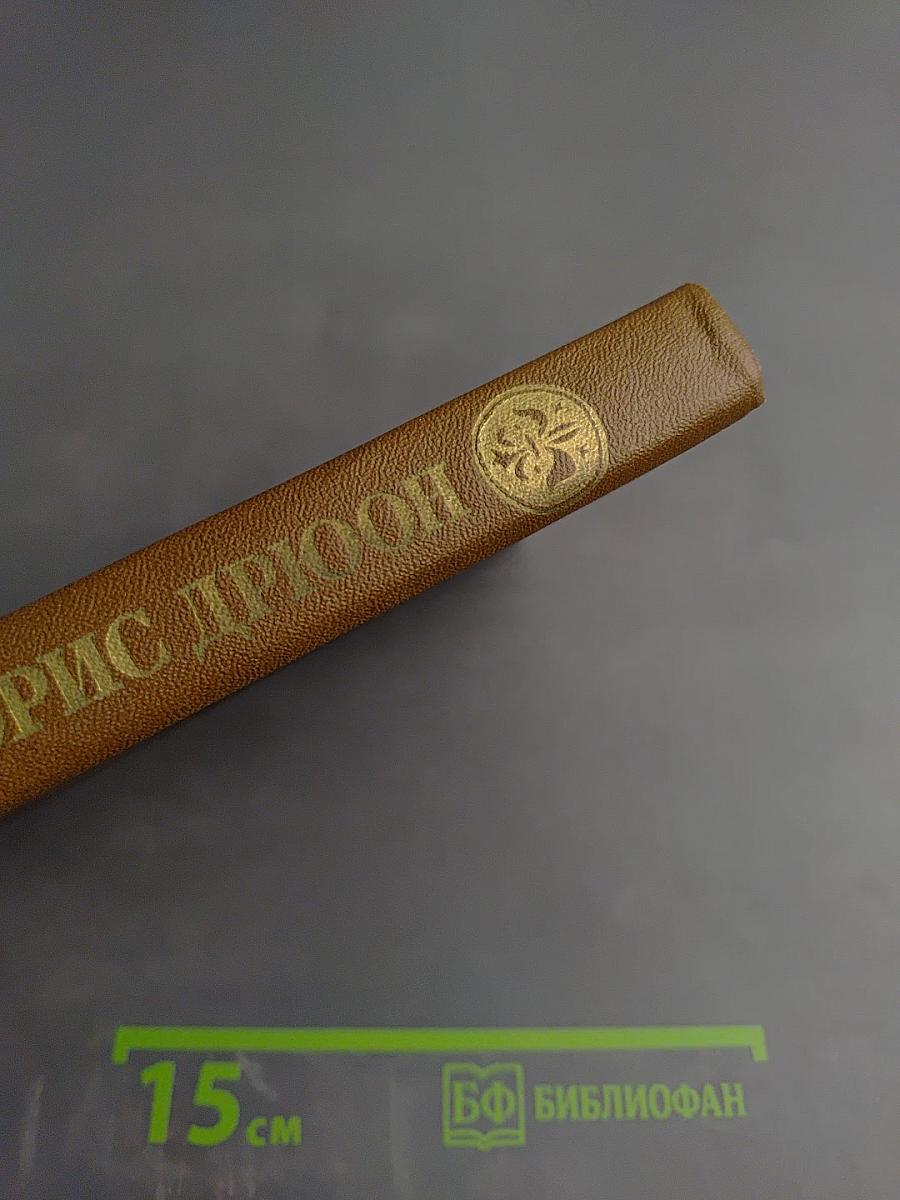 Железный король. Узница Шато-Гайара