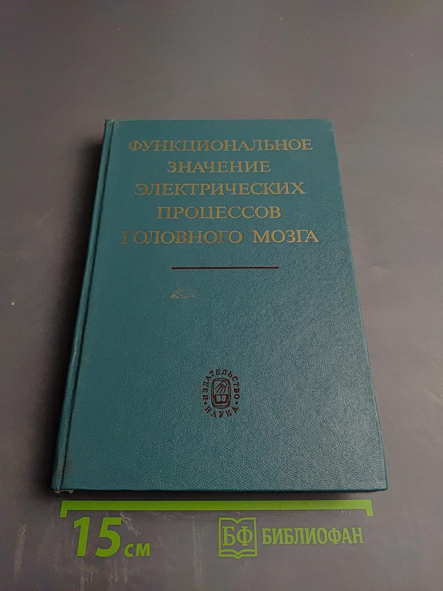 Функциональное значение электрических процессов головного мозга