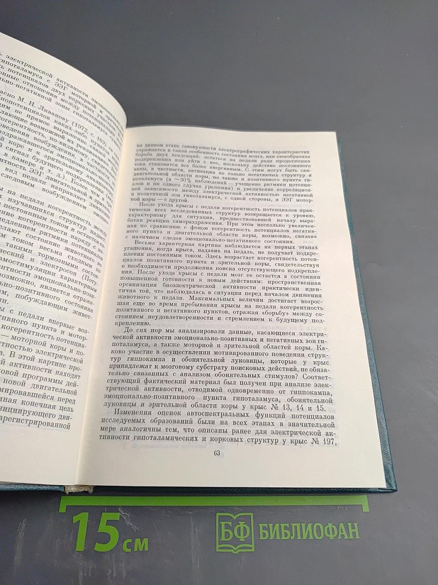 Функциональное значение электрических процессов головного мозга