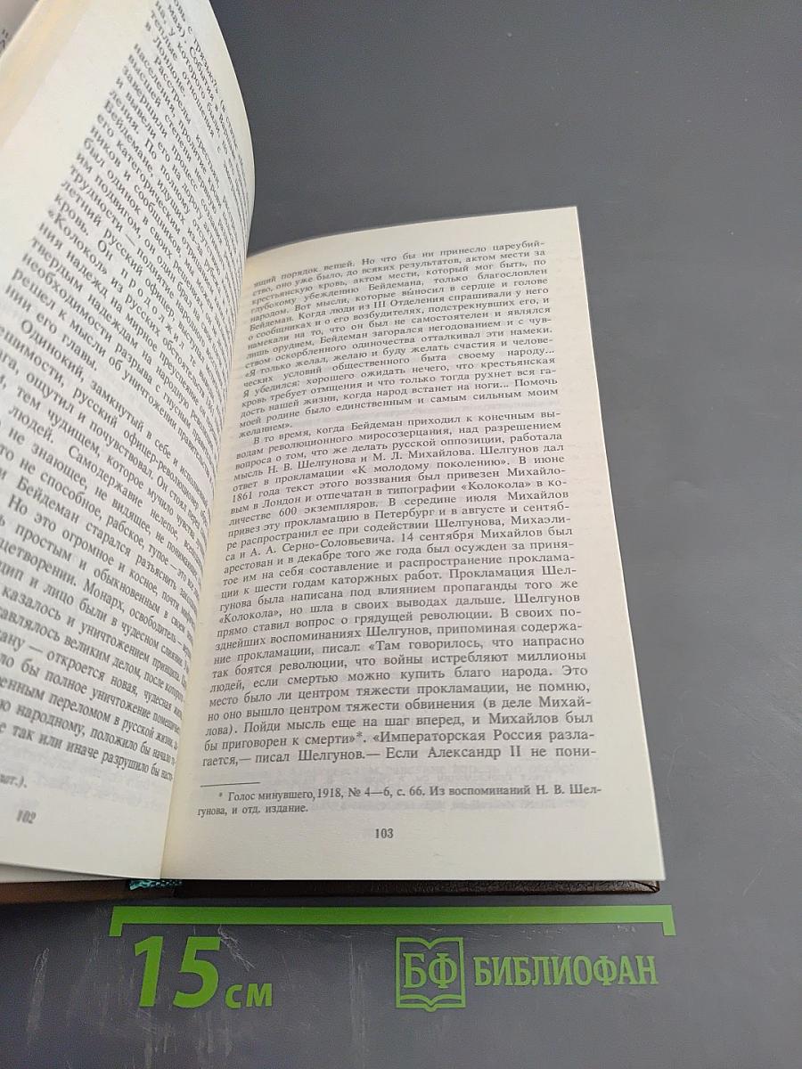 Алексеевский равелин. Книга II: Секретная государственная тюрьма России в XIX веке