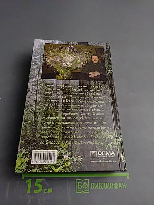 Несвятые святые и другие рассказы