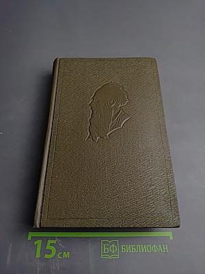 Собрание сочинений. Том восемнадцатый. Письма 1887-1910 гг.