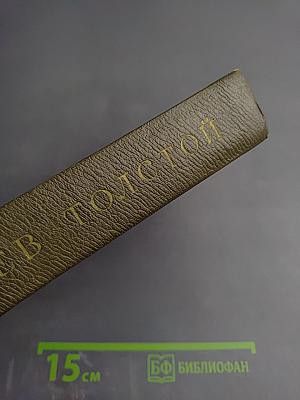 Собрание сочинений. Том восемнадцатый. Письма 1887-1910 гг.