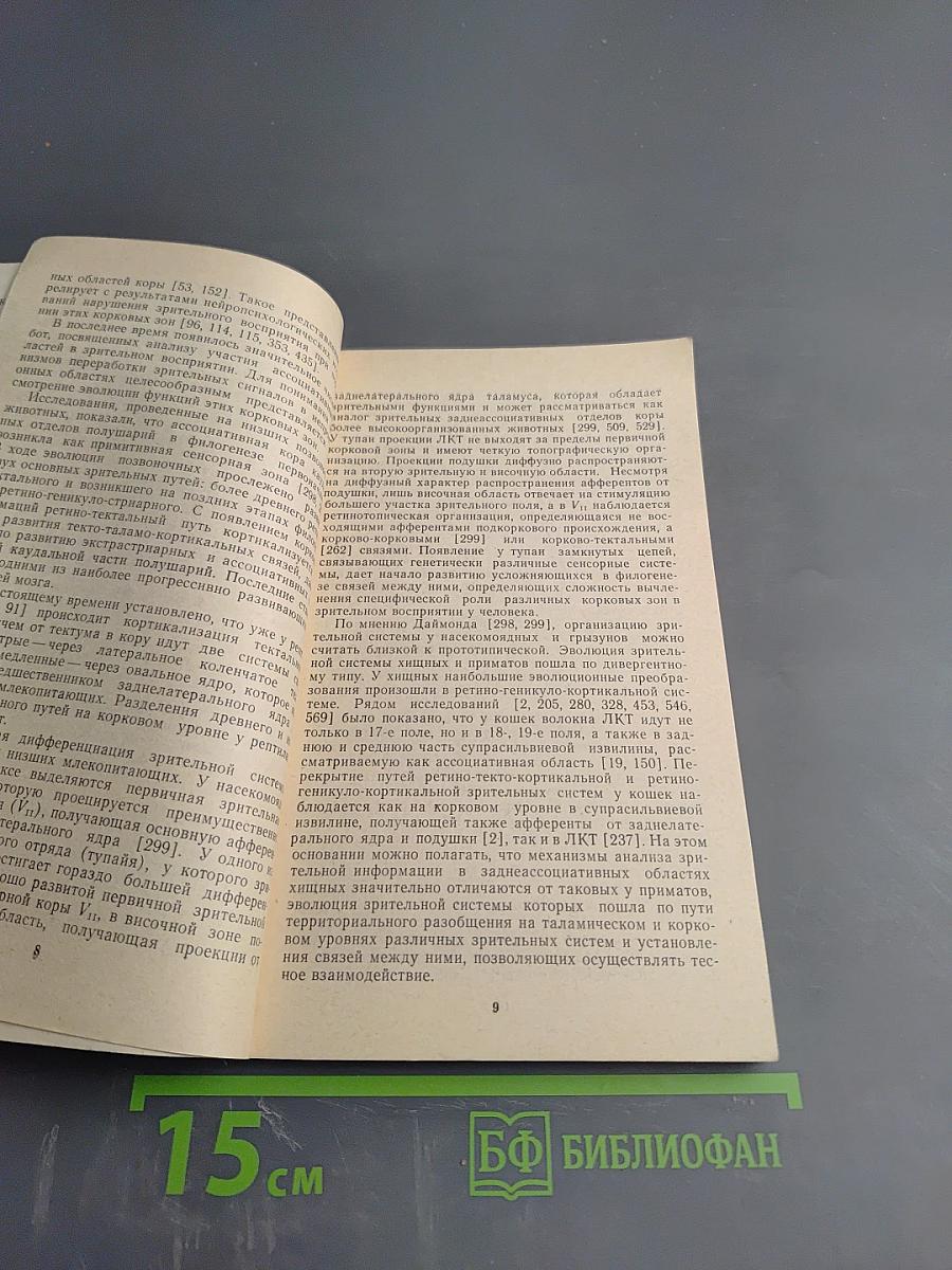 Нейрофизиологические механизмы зрительного восприятия. Онтогенетические исследования