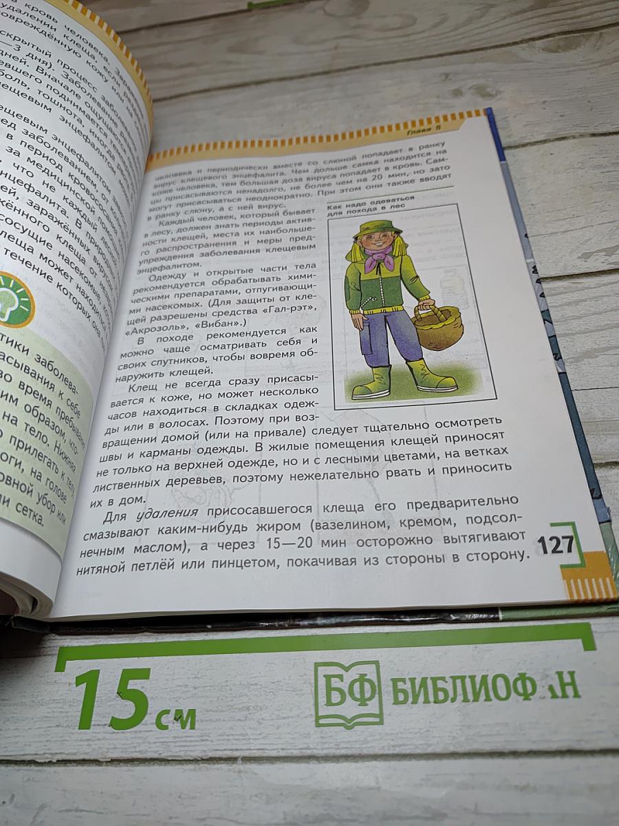 Основы безопасности жизнедеятельности 6 класс