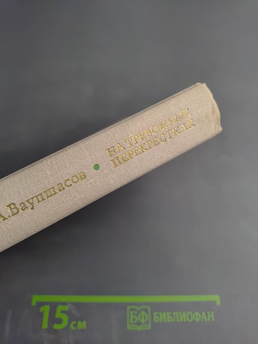 На тревожных перекрестках. Записки чекиста