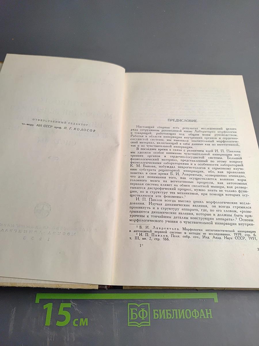 Вопросы морфологии рецепторов внутренних органов и сердечно-сосудистой системы