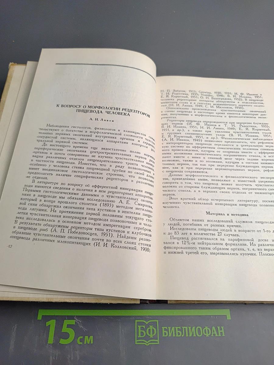 Вопросы морфологии рецепторов внутренних органов и сердечно-сосудистой системы