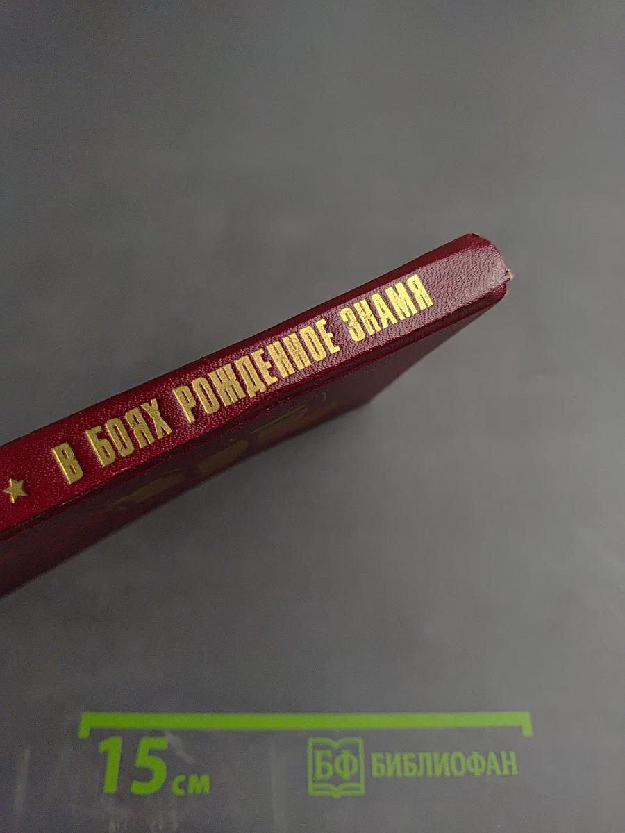 В боях рожденное знамя