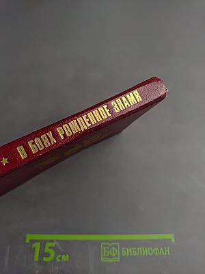 В боях рожденное знамя