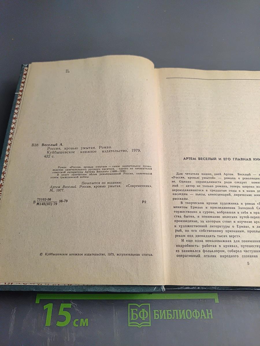 Россия, кровью умытая