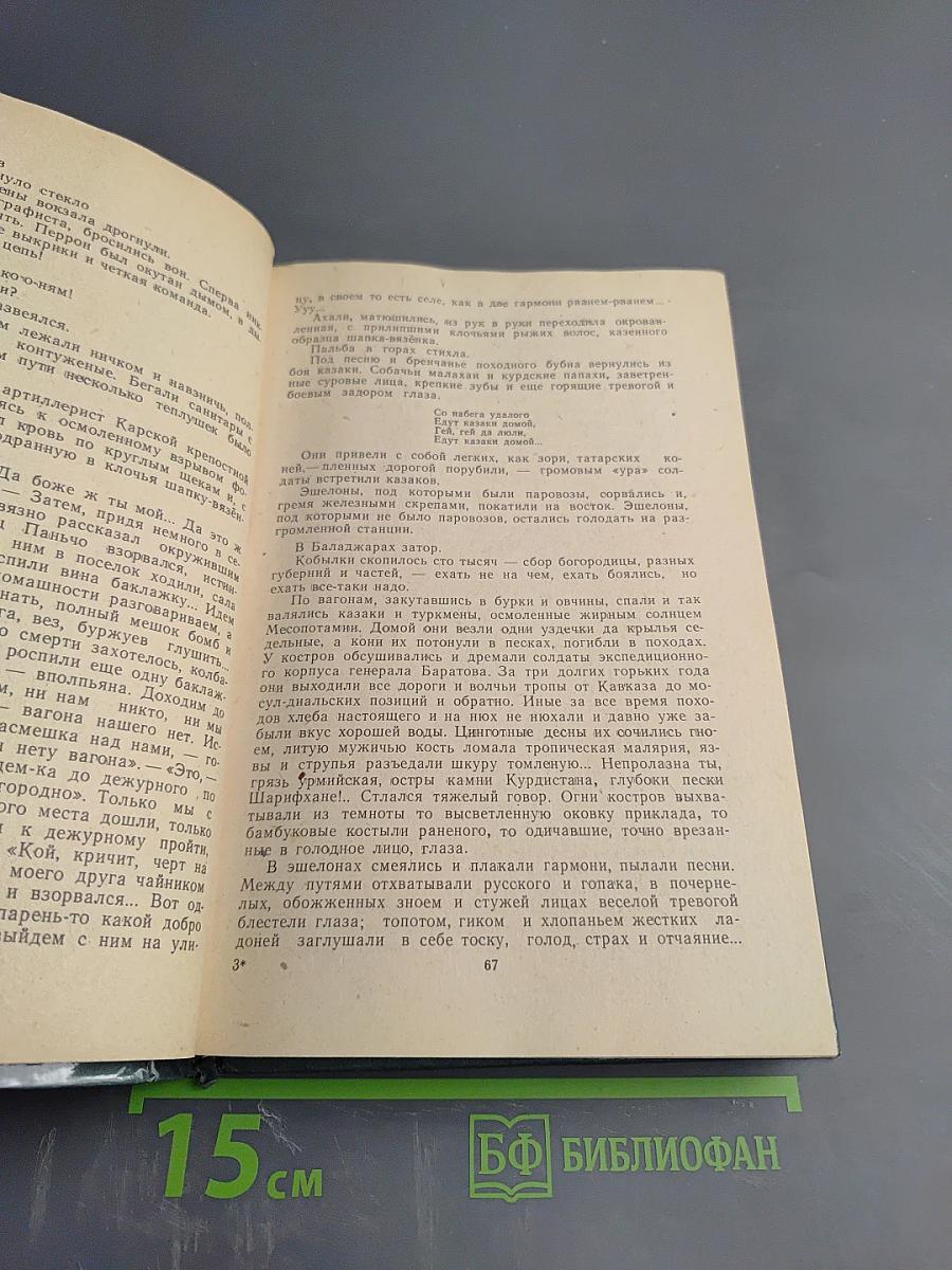 Россия, кровью умытая