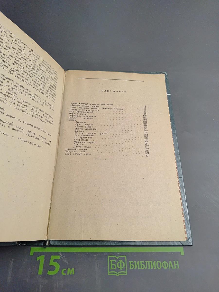 Россия, кровью умытая