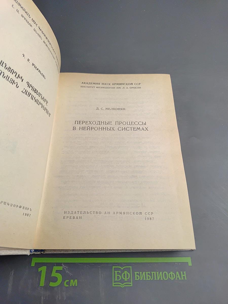 Переходные процессы в нейронных системах