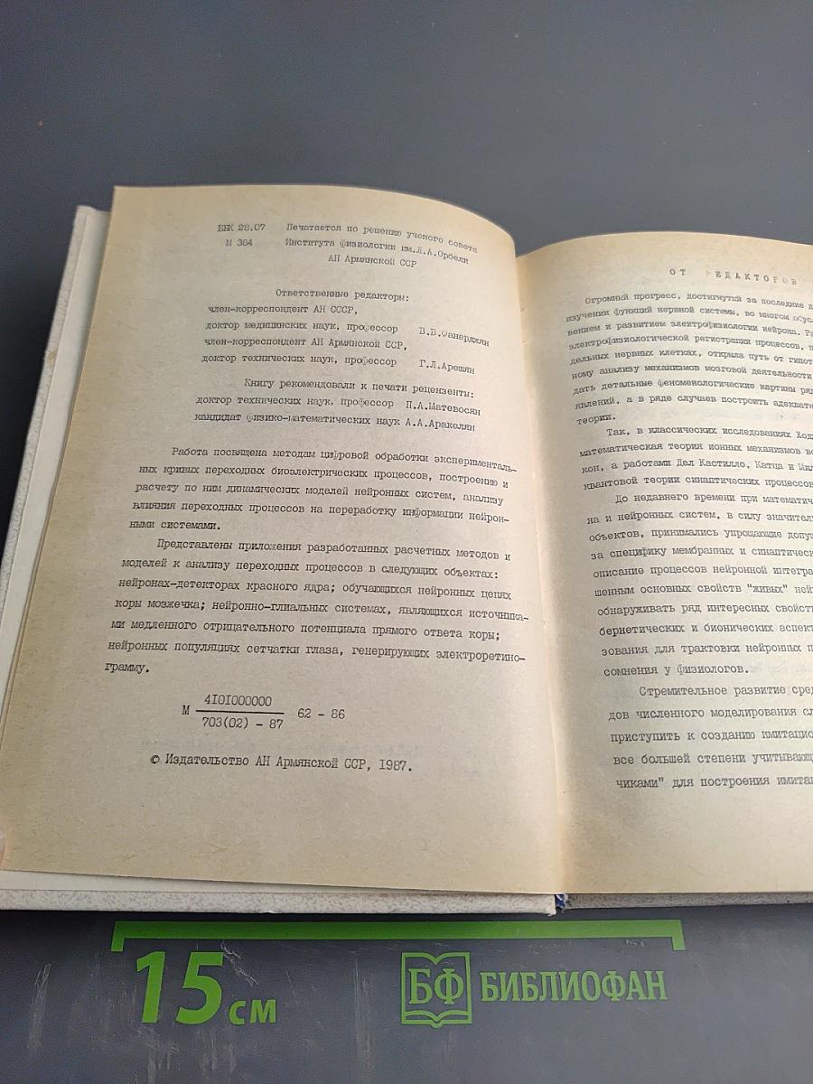 Переходные процессы в нейронных системах