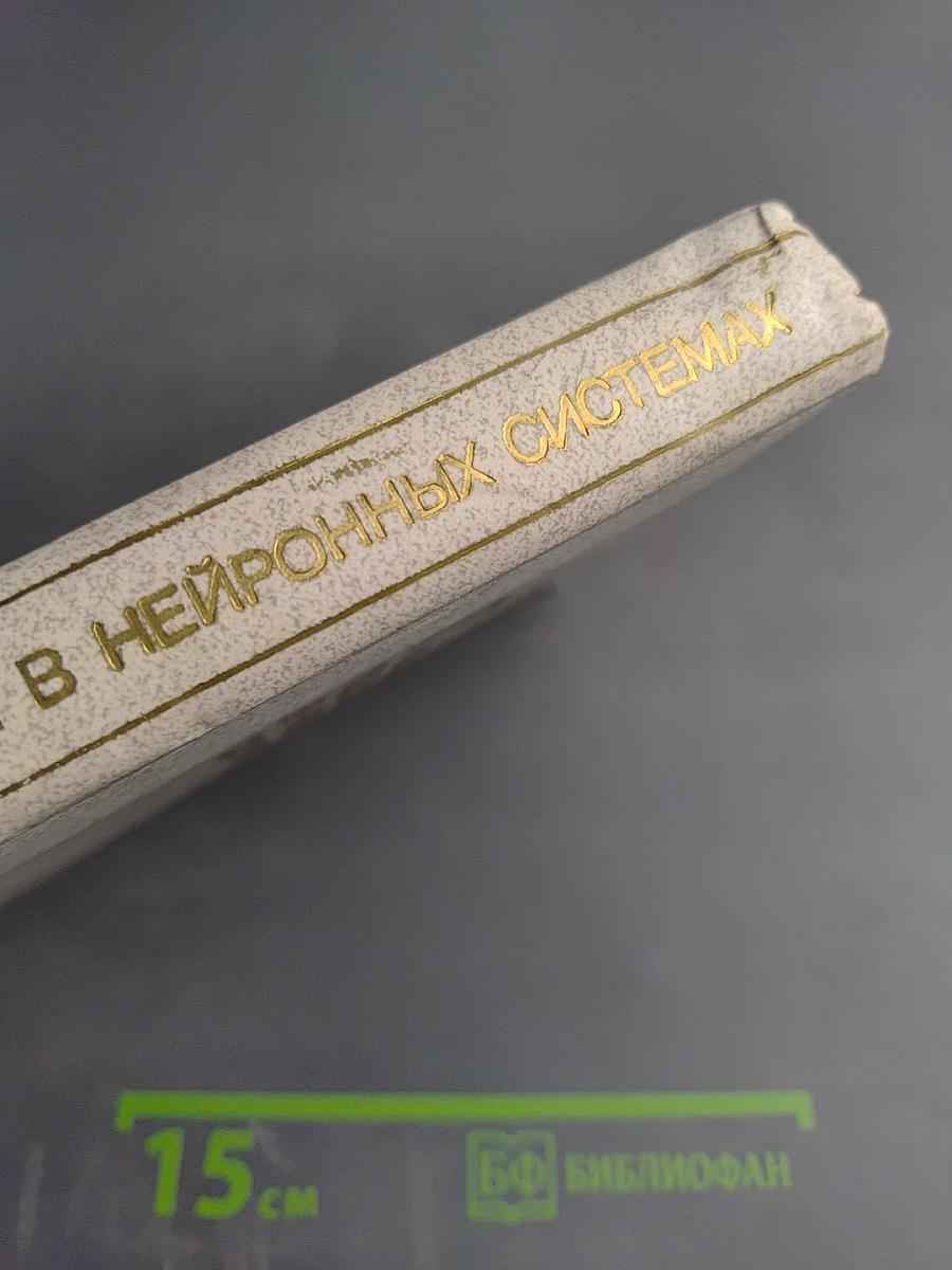 Переходные процессы в нейронных системах