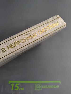 Переходные процессы в нейронных системах