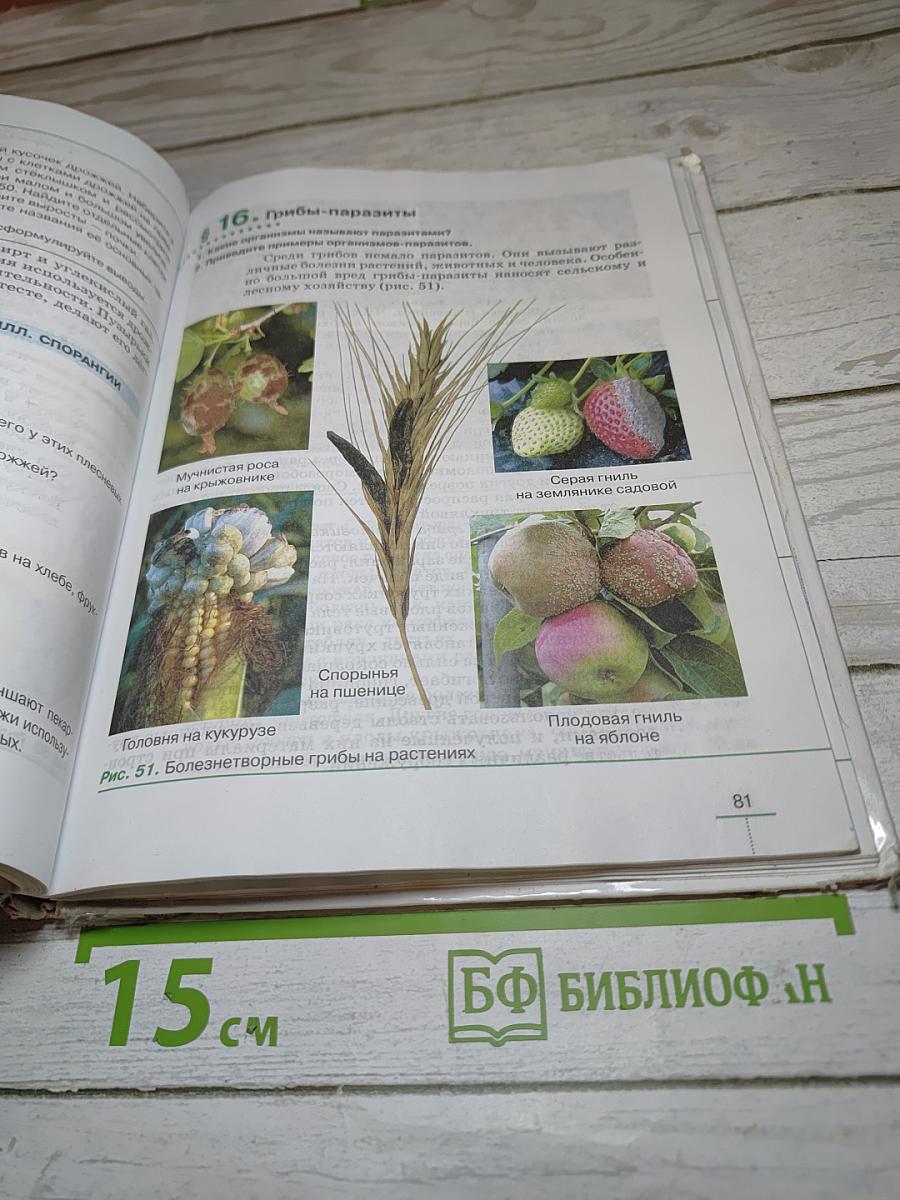 Биология. Бактерии, грибы, растения. 5 класс