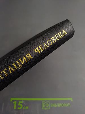 Адаптация человека