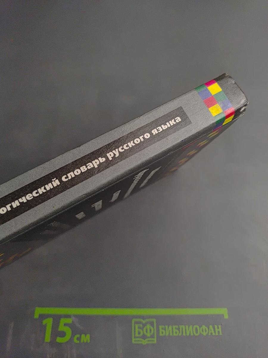 Школьный фразеологический словарь русского языка