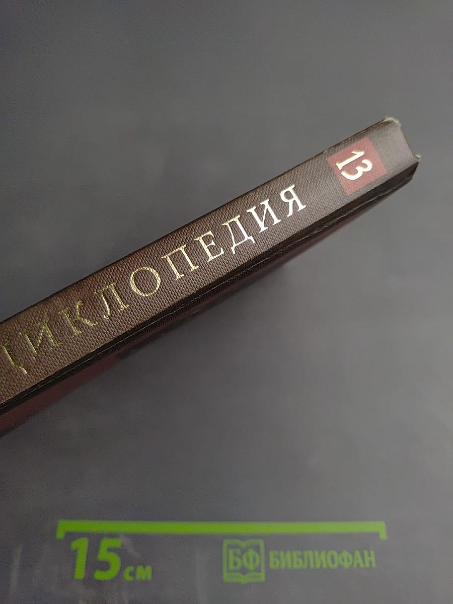 Новая иллюстрированная энциклопедия. Том 13. Но-Пе