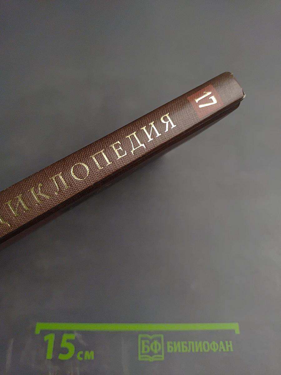 Новая иллюстрированная энциклопедия. Кн. 17. Ск-Та
