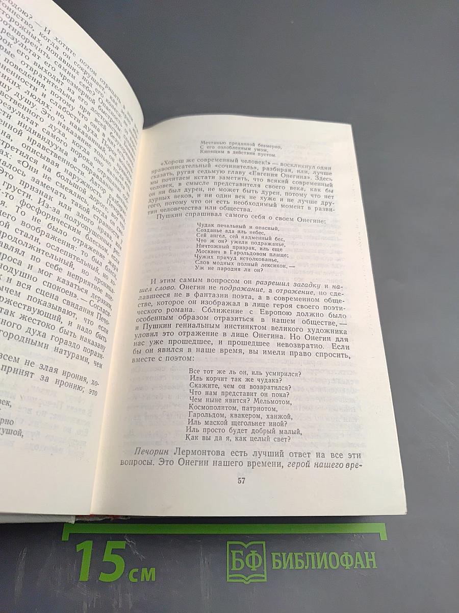 Русская критика