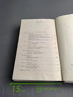 Русская критика