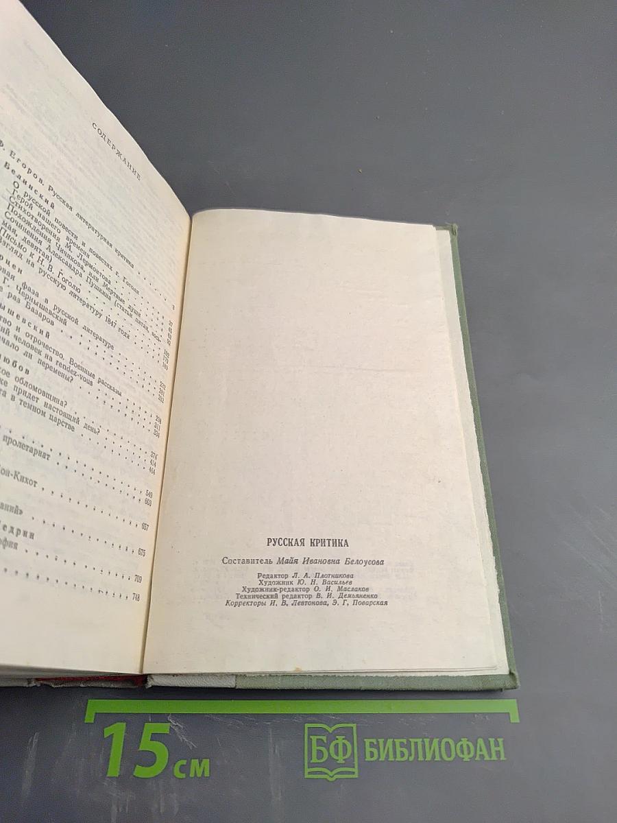 Русская критика