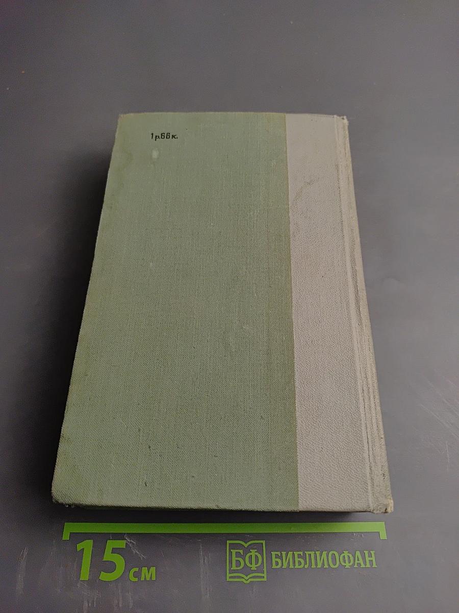 Русская критика