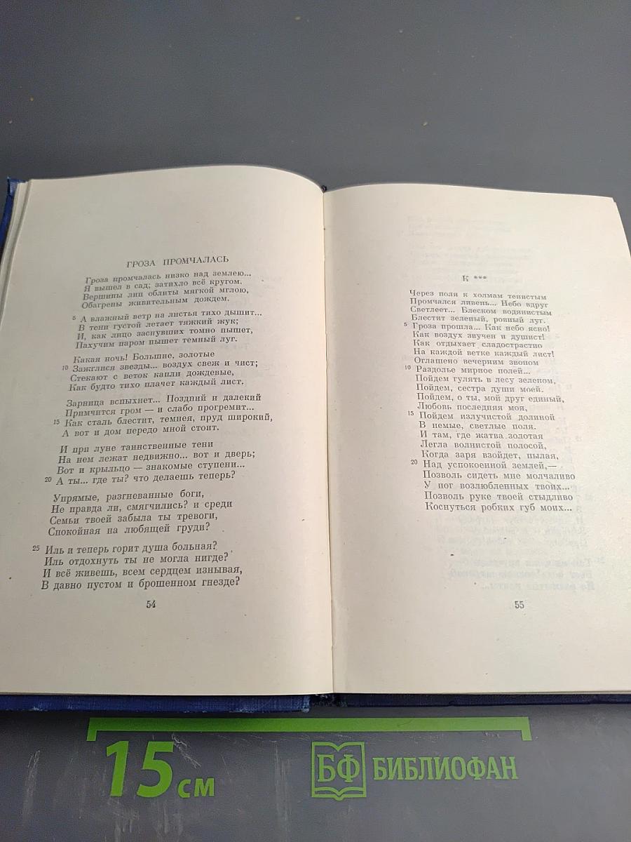 Сочинения. Том первый. Стихотворения, поэмы, статьи и рецензии, прозаические наброски 1834-1849