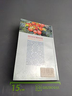 Шиповник. Лечение без лекарств