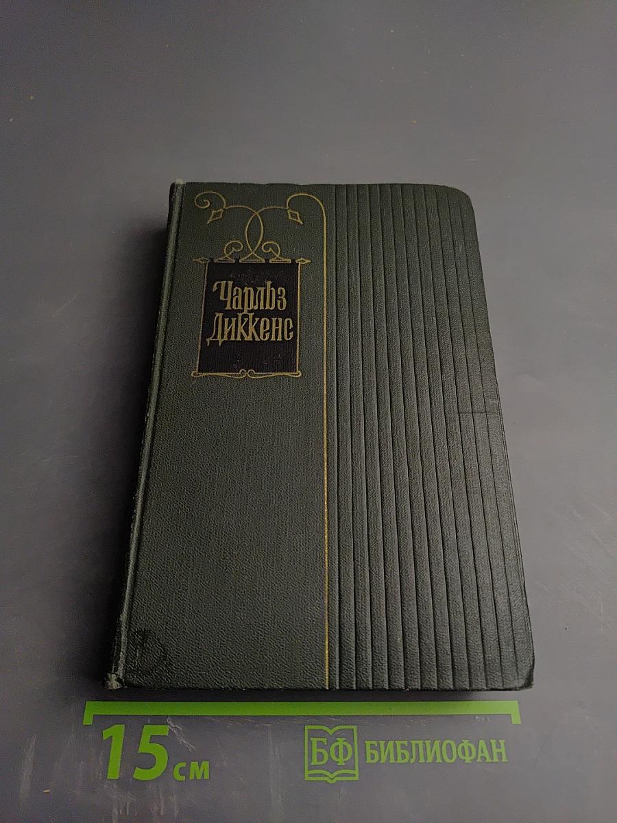 Собрание сочинений. Том четырнадцатый. Торговый дом Домби и сын