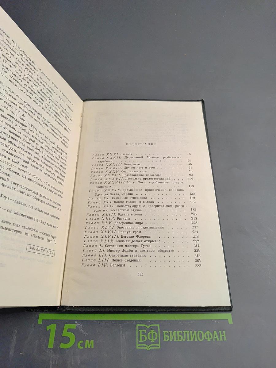 Собрание сочинений. Том четырнадцатый. Торговый дом Домби и сын