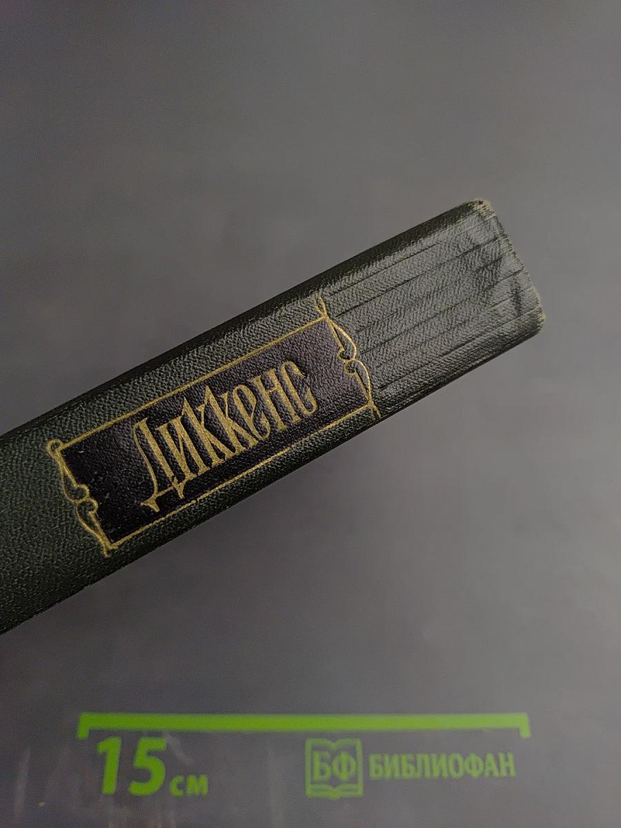 Собрание сочинений. Том четырнадцатый. Торговый дом Домби и сын