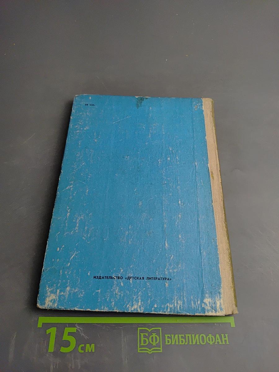 Чужая страна - Черника