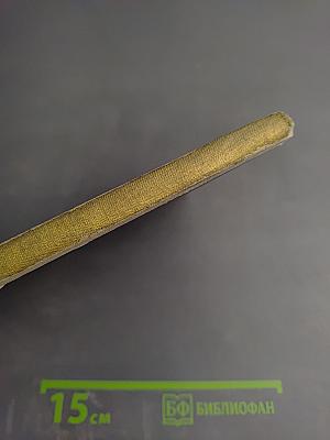 Чужая страна - Черника