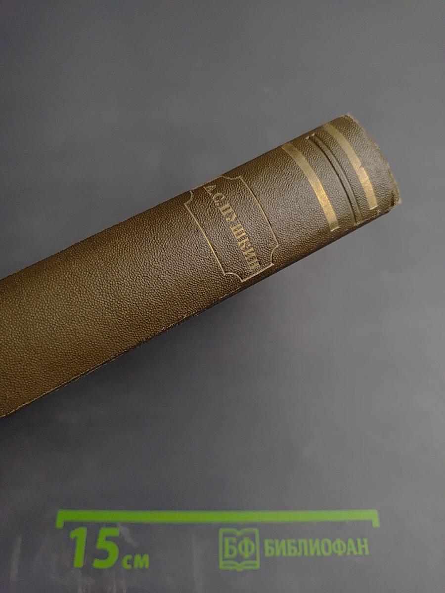 Собрание сочинений. Том четвертый: Художественная проза