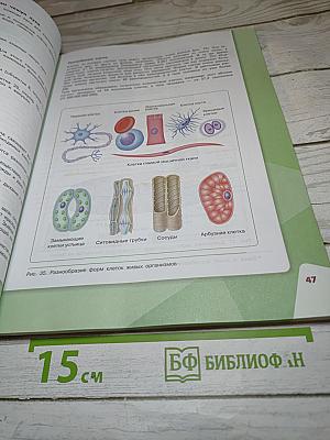 Биология. 5 класс