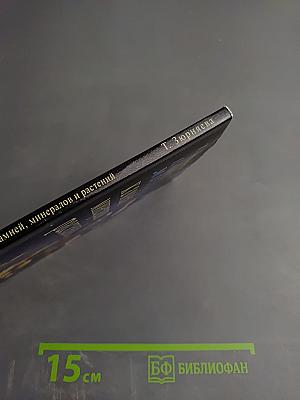 Целебная магия камней, минералов и растений