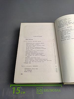 Вечер. Окна. Люди