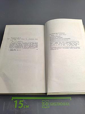 Вечер. Окна. Люди