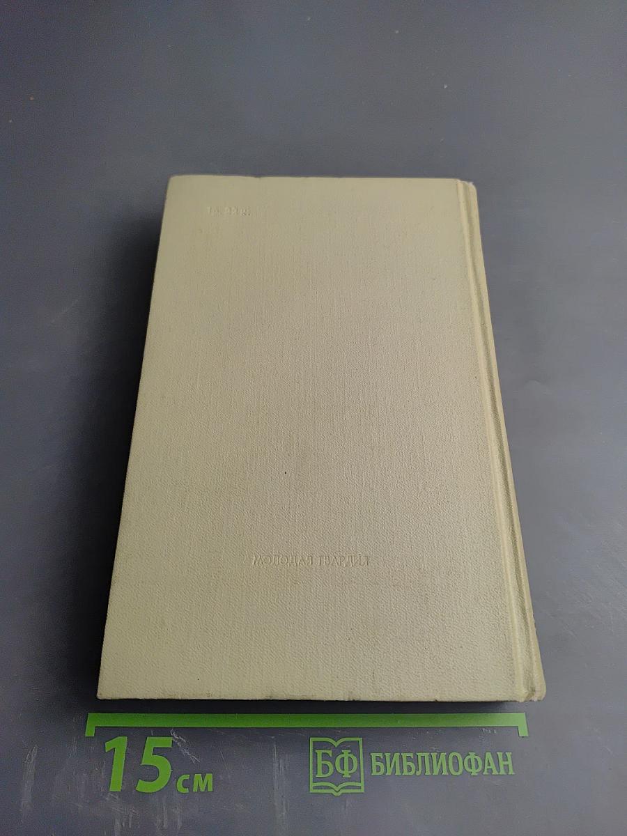 Вечер. Окна. Люди