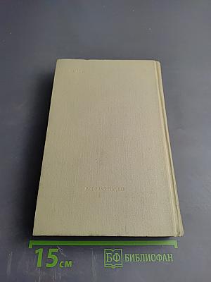 Вечер. Окна. Люди