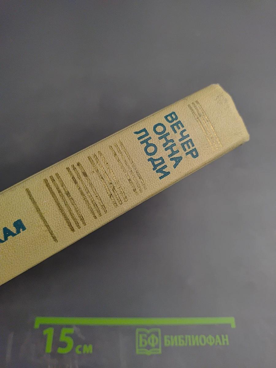 Вечер. Окна. Люди