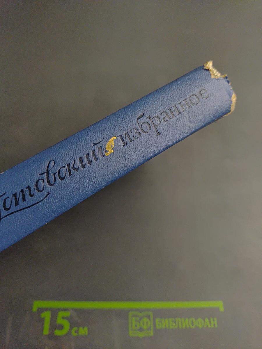 Избранные произведения в двух томах. Том второй: Золотая роза, повесть и рассказы