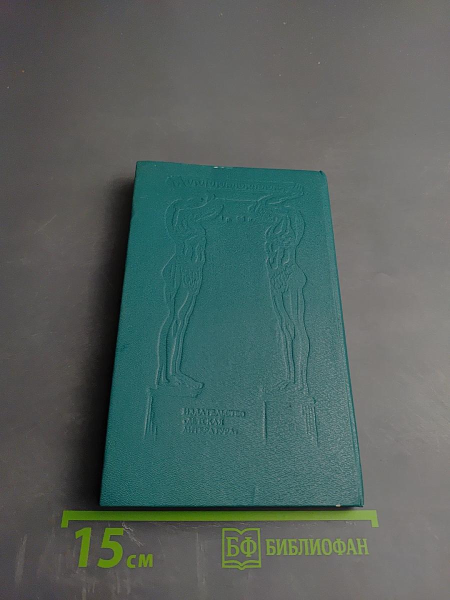 Что я видел в эрмитаже?