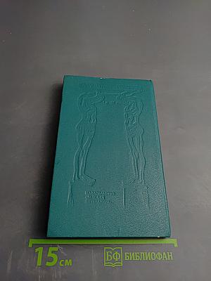 Что я видел в эрмитаже?